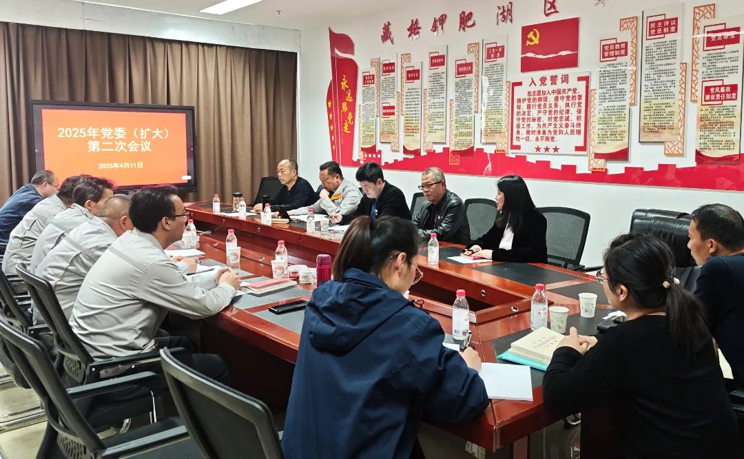 藏格鉀肥黨委召開第二次（擴大）會議