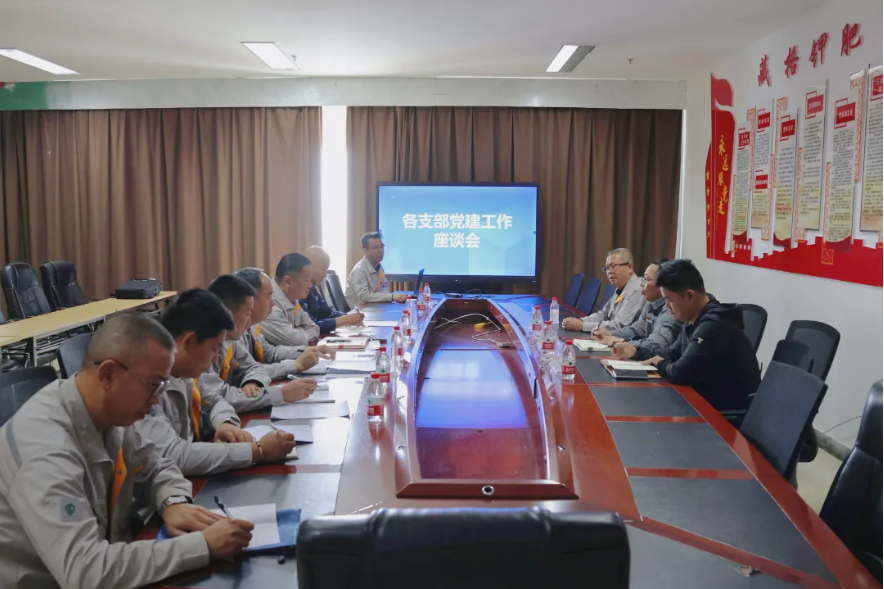 藏格礦業(yè)領(lǐng)導(dǎo)深入基層黨支部調(diào)研指導(dǎo)黨建工作